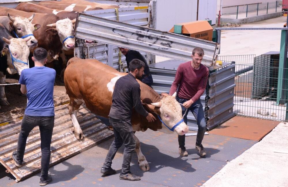 Kurban Bayramı öncesi İnegöl