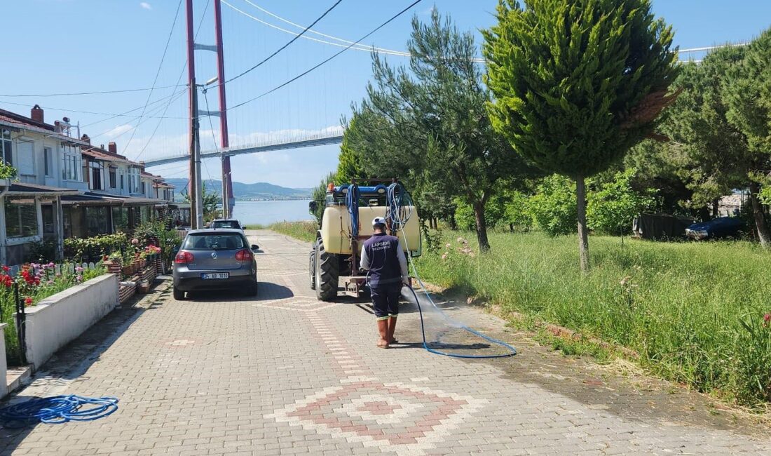 ÇANAKKALE'NİN LAPSEKİ İLÇESİNDE, LAPSEKİ