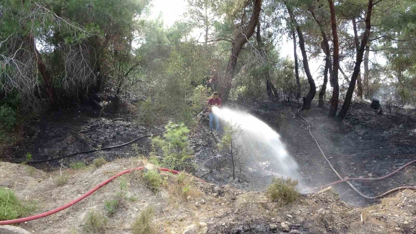 Manavgat’ta orman yangını ucuz atlatıldı