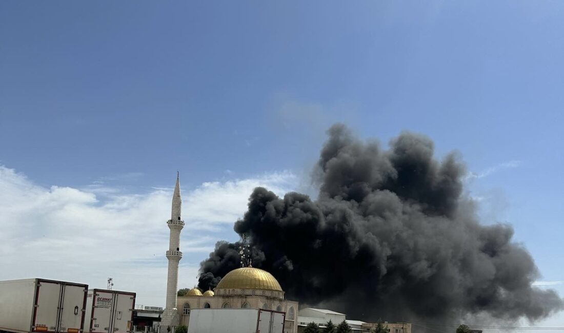 MARDİN’İN NUSAYBİN İLÇESİNDE ÇIKAN