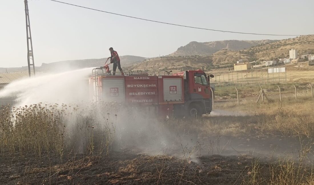 MARDİN'İN ÖMERLİ İLÇESİNDE GENİŞ