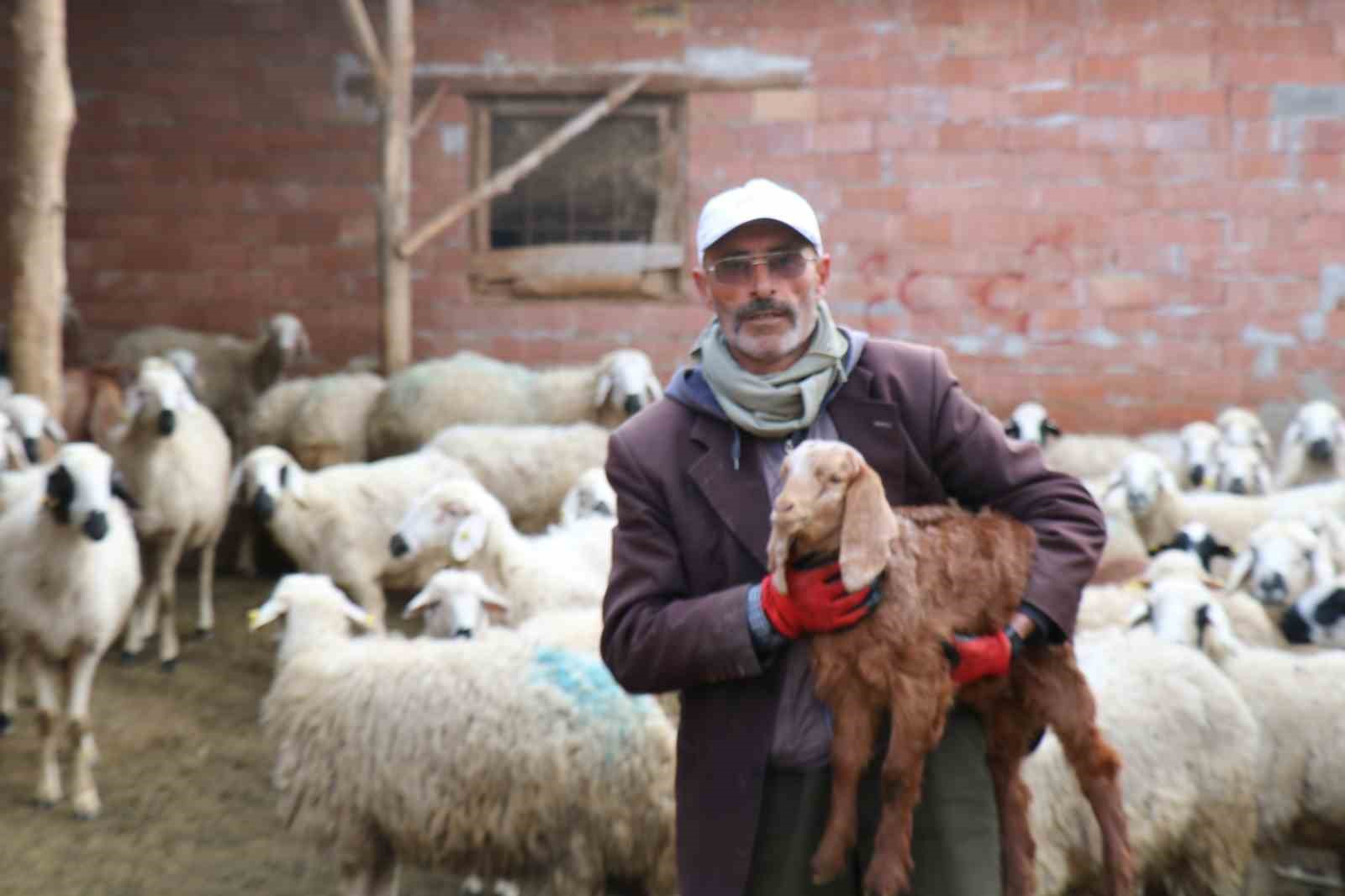 Meşhur muhtar dolandırıldı, derdini şiirle anlattı