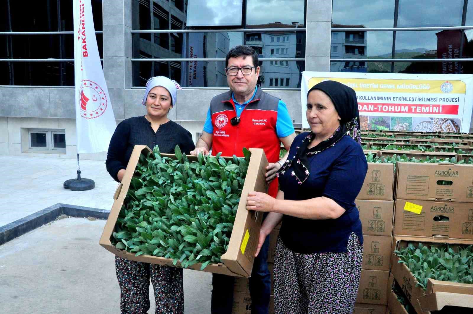 Muğla bu projeyle “enginar üssü” olacak