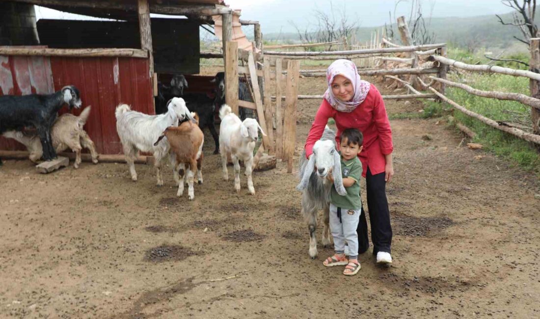 MUĞLA BÜYÜKŞEHİR BELEDİYESİ ‘KIL