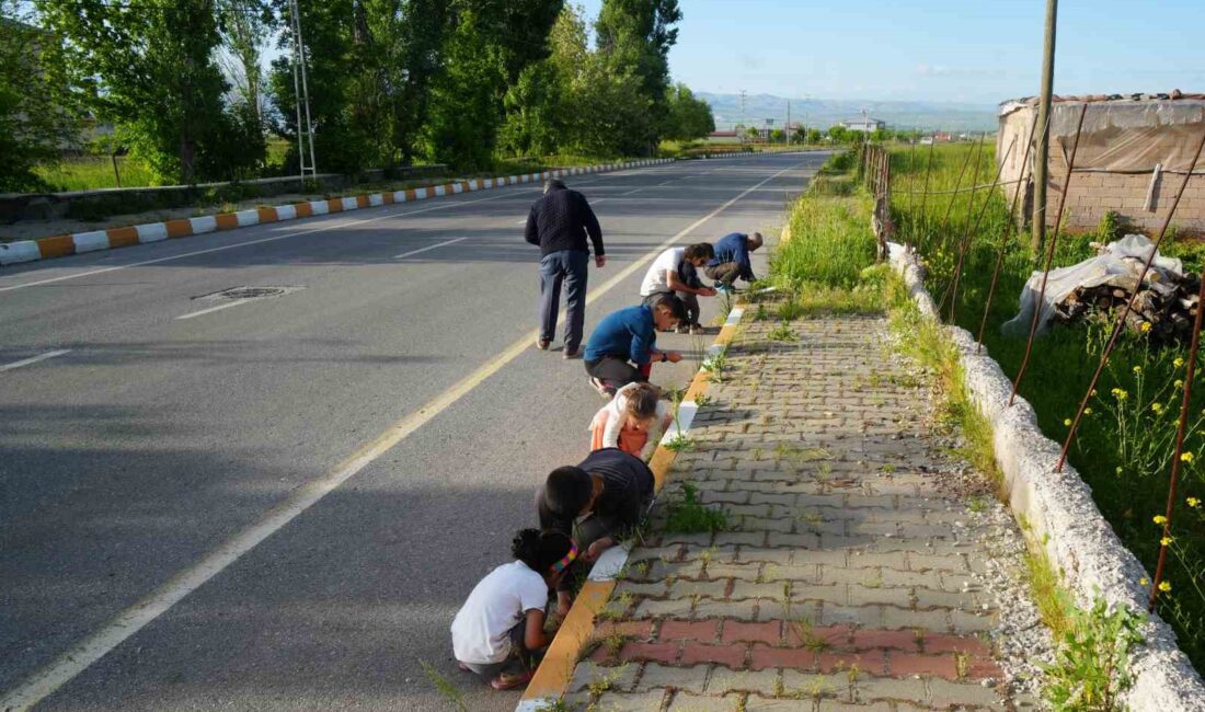 MUŞ'TA ETKİLİ OLAN YAĞIŞLARDA