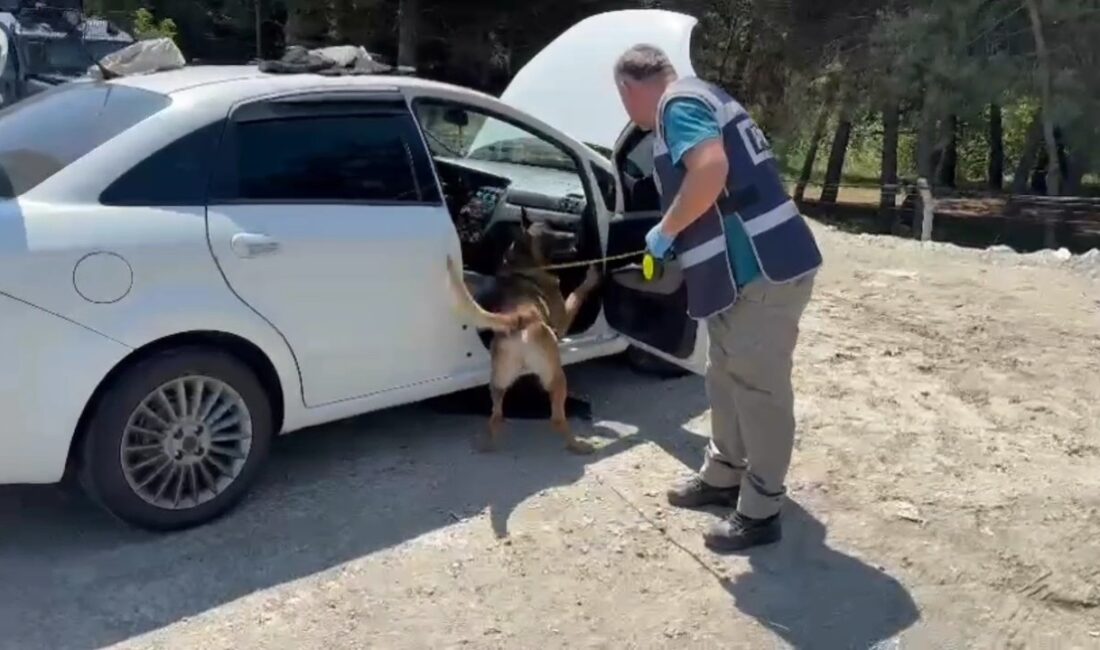 SAMSUN'DA NARKOTİK KÖPEĞİNİN HASSAS