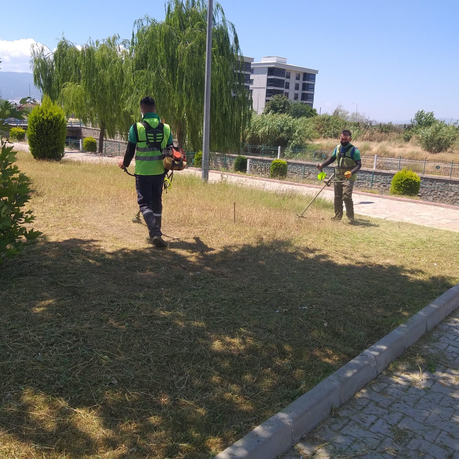 Nazilli Belediyesi, yeşil alanları bakıma aldı