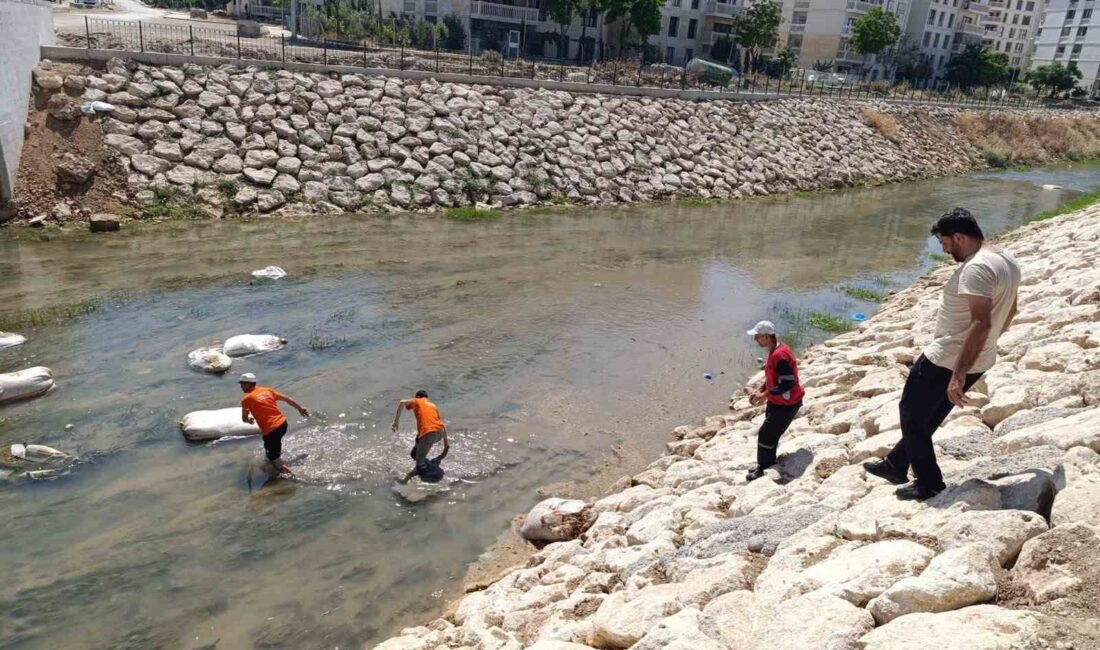 ÇÖPLER, NUSAYBİN BELEDİYESİ TEMİZLİK