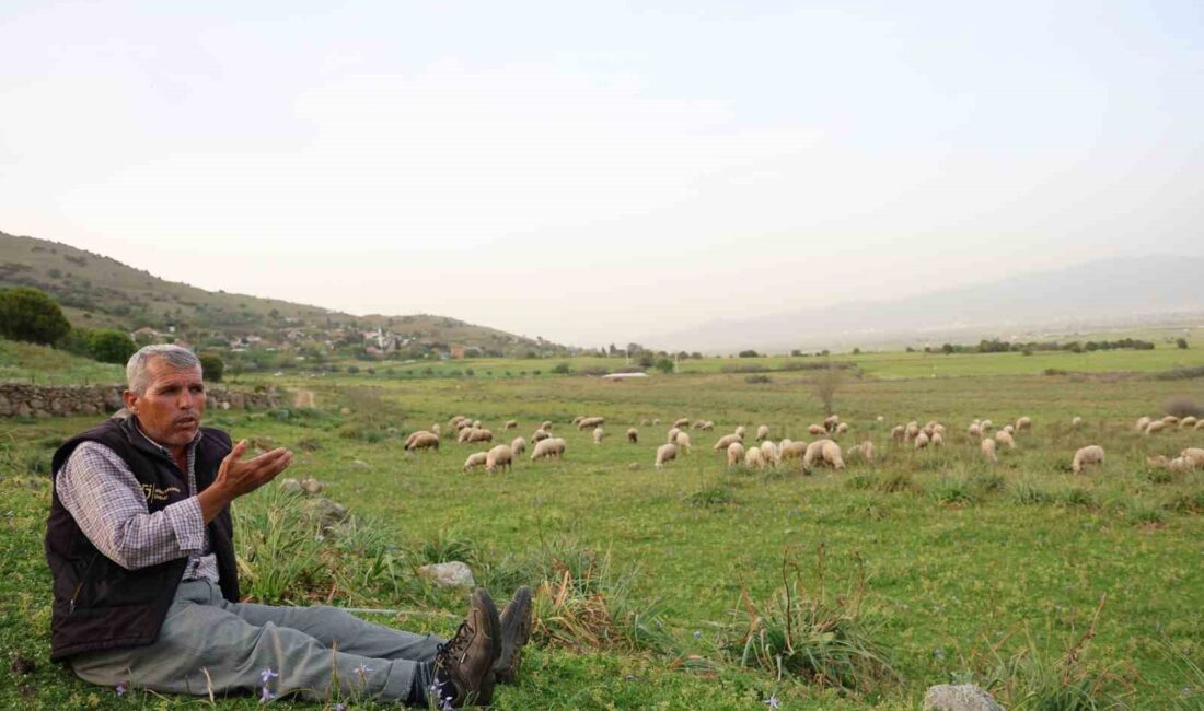 AYDIN'IN ÇİNE İLÇESİNDE YAKLAŞIK