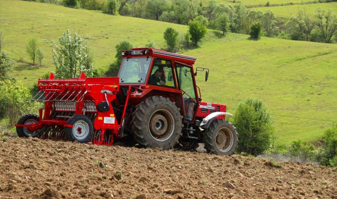 ORDU BÜYÜKŞEHİR BELEDİYESİ, GLUTEN