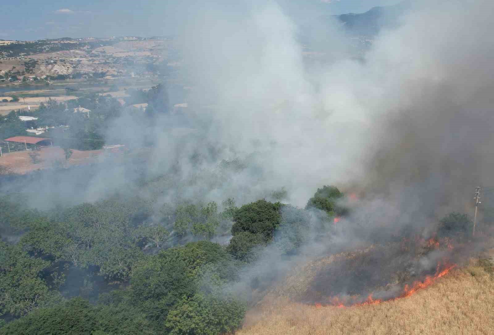 Örtü yangını ormana sıçramadan söndürüldü