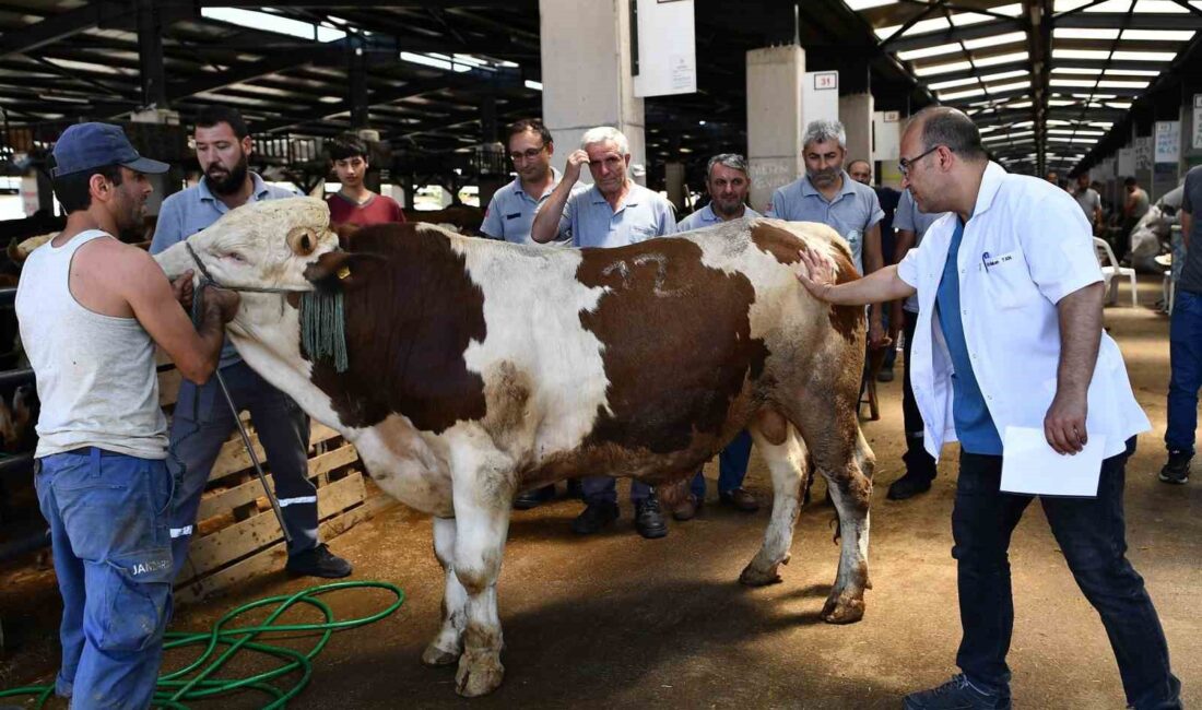 OSMANGAZİ BELEDİYESİ, VATANDAŞLARIN KURBAN