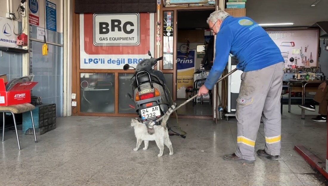 OTO TAMİRCİSİNİN MASKOTU "PAŞA"