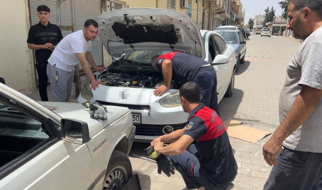 ŞANLIURFA’NIN CEYLANPINAR İLÇESİNDE OTOMOBİLİN