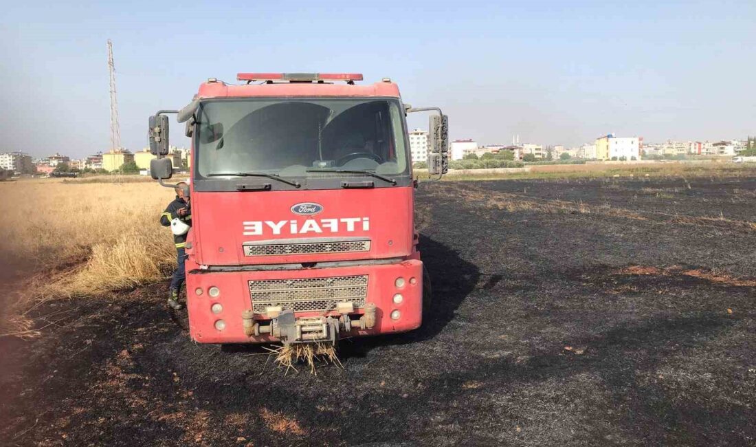 REYHANLI'DA BUĞDAY TARLASINDA YANGIN