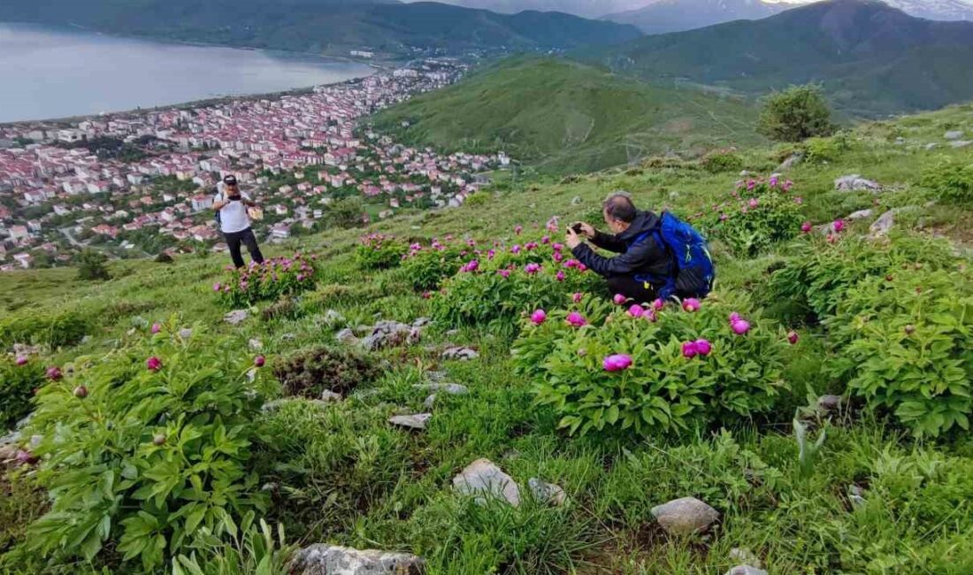 BİTLİS'İN TATVAN İLÇESİNDE BULUNAN