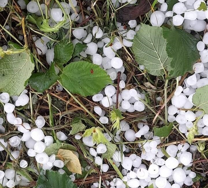 SAKARYA'DA METEOROLOJİ GENEL MÜDÜRLÜĞÜ