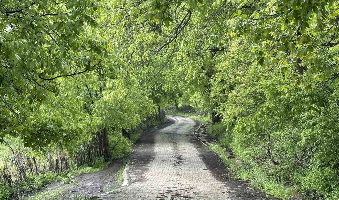 HAKKARİ'NİN ŞEMDİNLİ İLÇESİNDE BAHAR