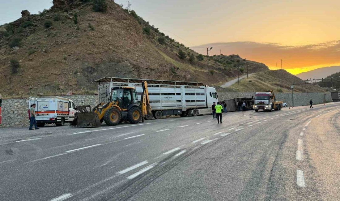 SİİRT'İN BAYKAN İLÇESİNDE TIRIN