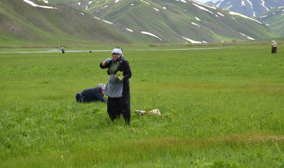 ŞIRNAK'IN BEYTÜŞŞEBAP İLÇESİNDE VATANDAŞLAR,