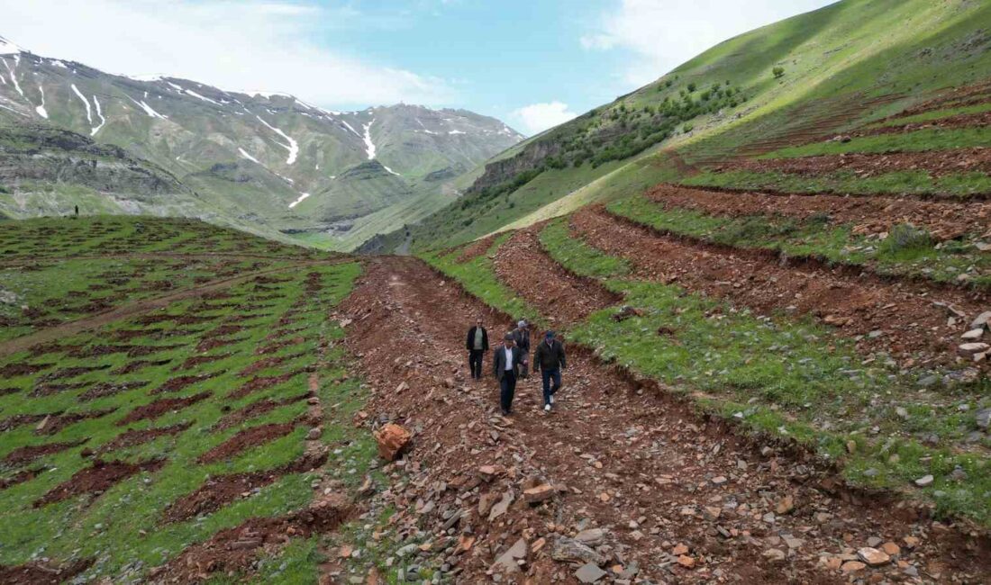 ŞIRNAK'IN ULUDERE İLÇESİNE BAĞLI