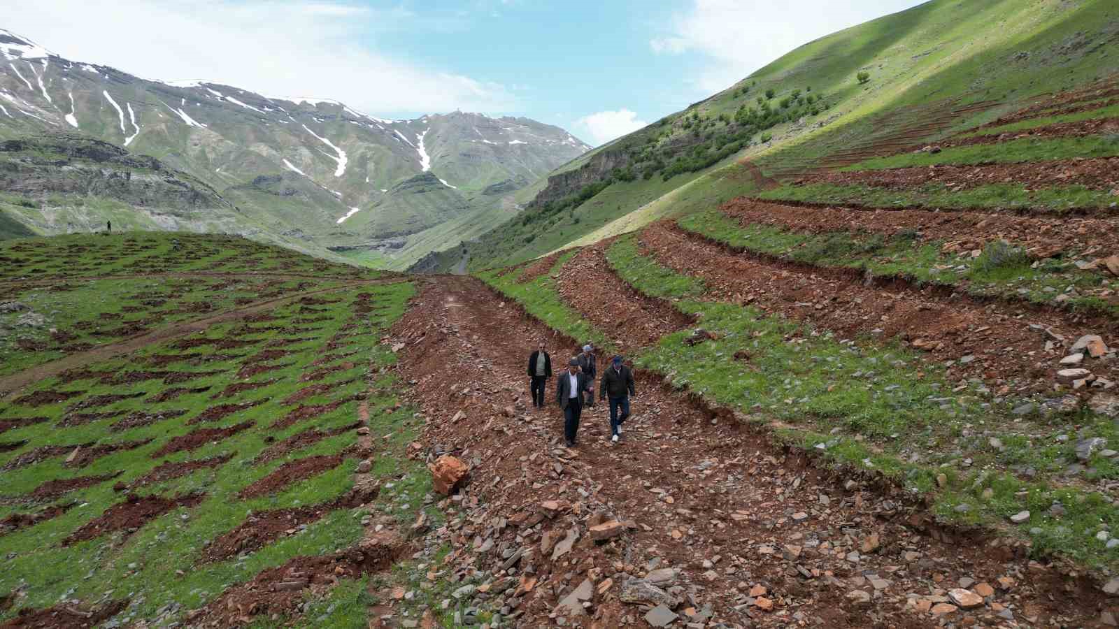 Şırnak’ta terörün bittiği dağlar 70 bin fidanla yeşillenecek