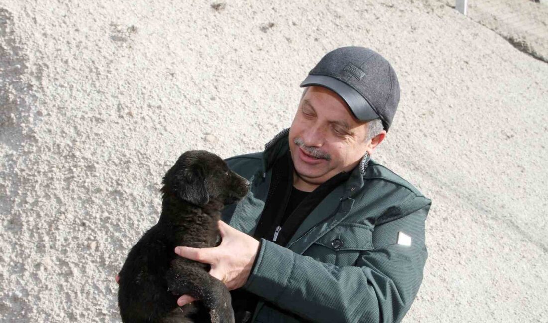 TALAS BELEDİYE BAŞKANI MUSTAFA