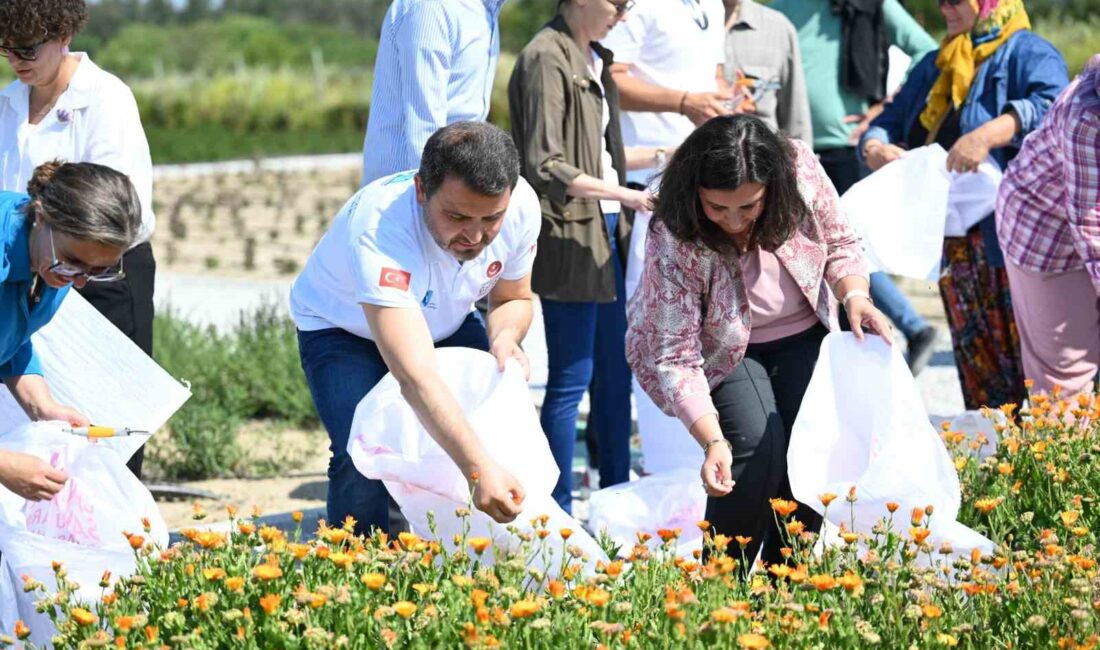 ÇANAKKALE SAVAŞLARI GELİBOLU TARİHİ