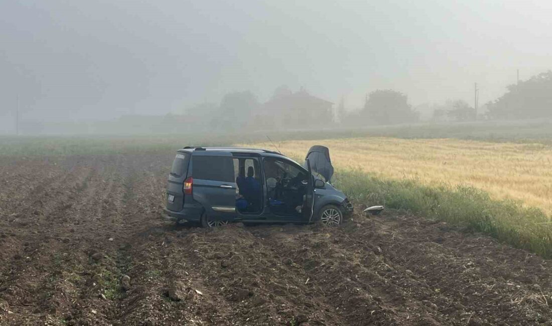 AFYONKARAHİSAR’DA KONTROLDEN ÇIKARAK TARIM