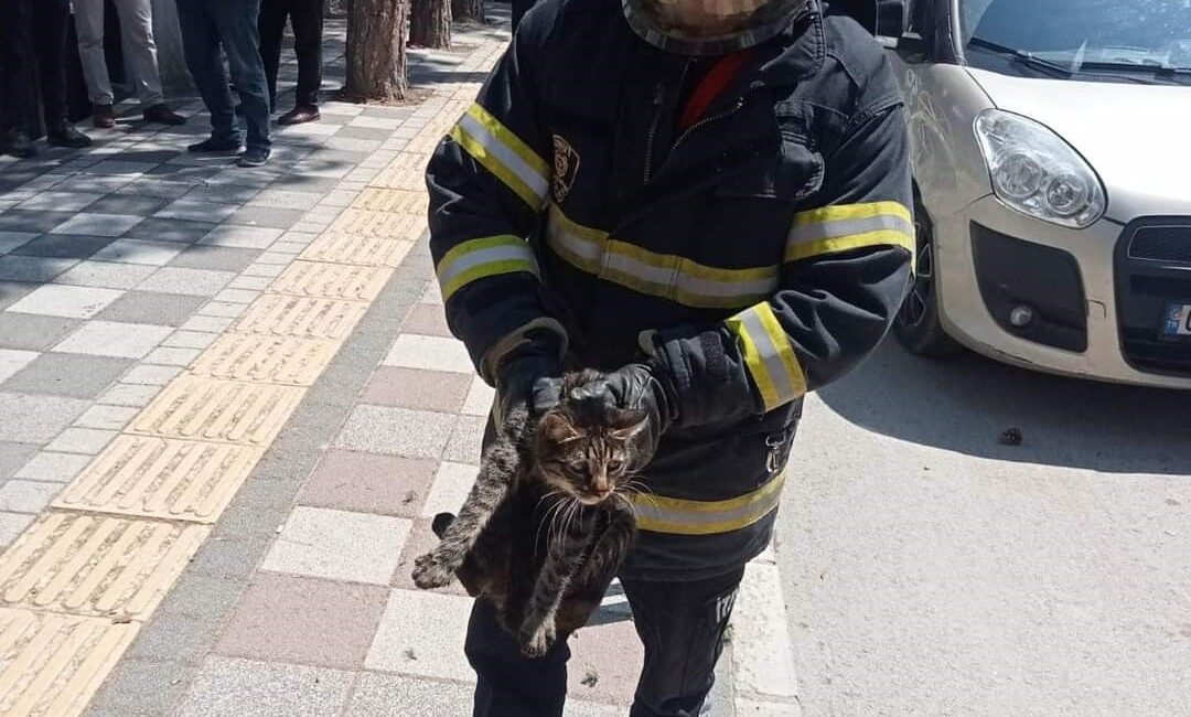 AFYONKARAHİSAR’DA TIRMANDIĞI AĞAÇTA MAHSUR