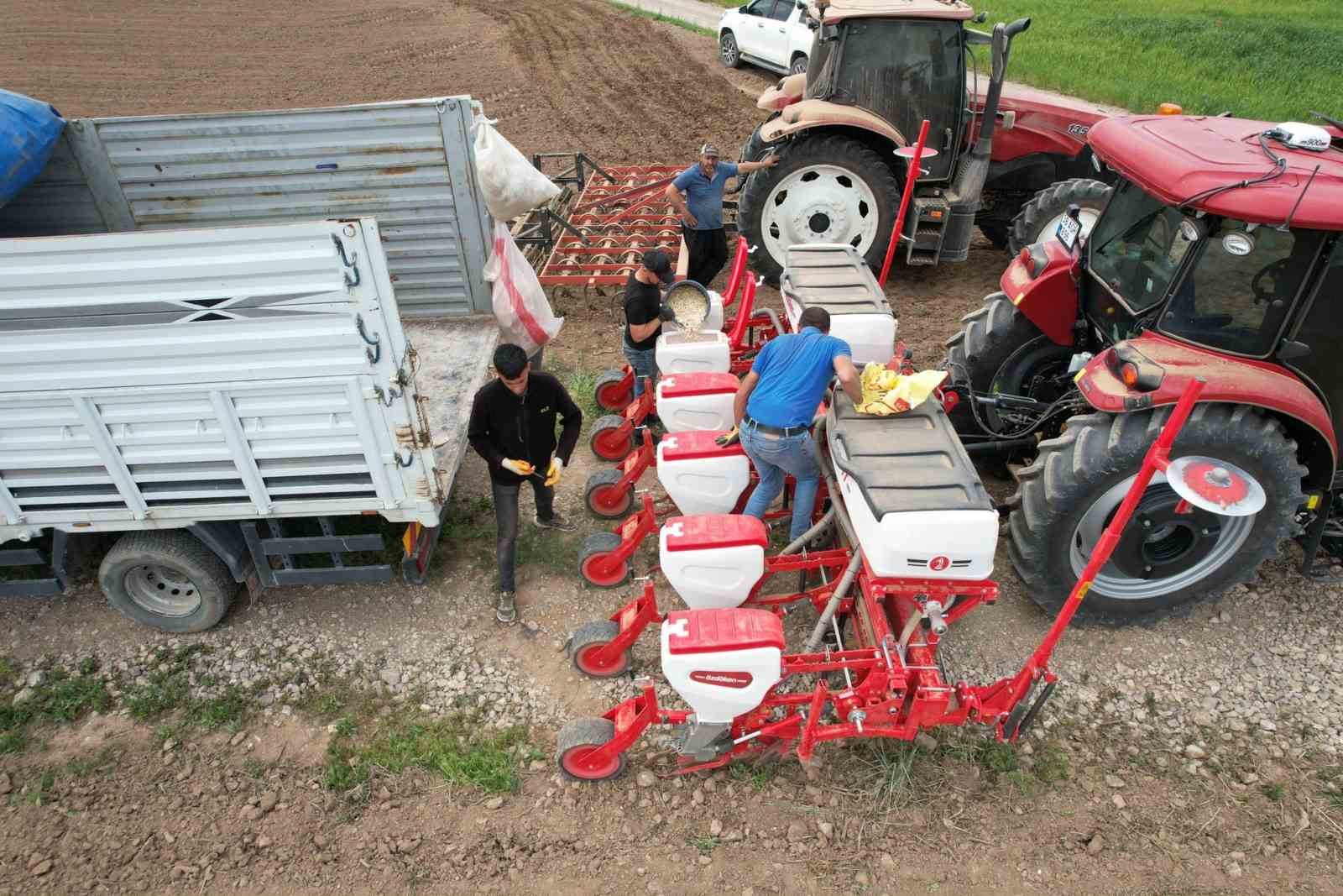 TÜRKİYE'NİN ÖNEMLİ KABAK ÇEKİRDEĞİ ÜRETİM MERKEZLERİNDEN BİRİ OLAN TOMARZA İLÇESİNDE