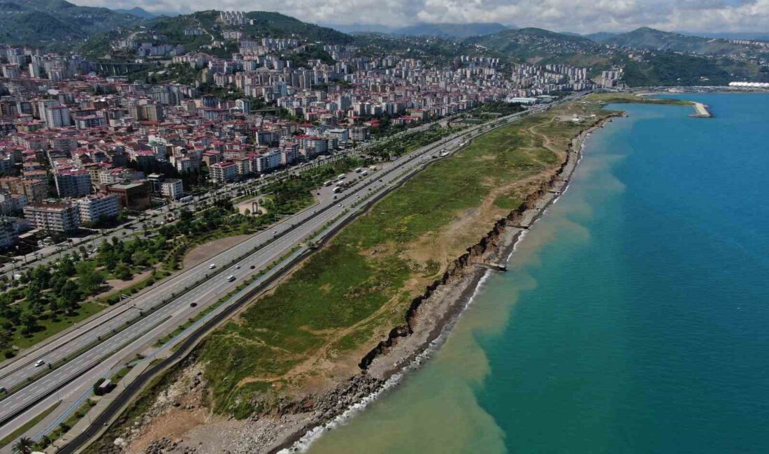 TRABZON’UN ORTAHİSAR İLÇESİNDE BEŞİRLİ