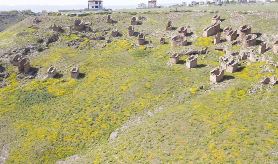 KAYSERİ'NİN MELİKGAZİ İLÇESİ SINIRLARI