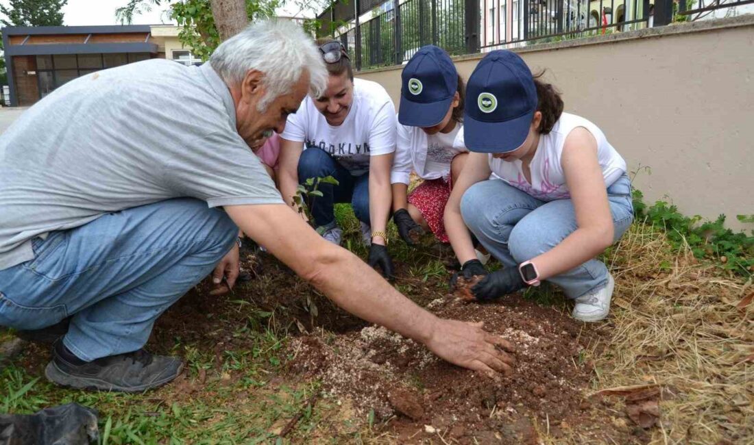 AKDENİZ ÜNİVERSİTESİ SOSYAL BİLİMLER