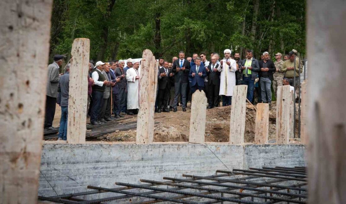 HAKKARİ VALİSİ ALİ ÇELİK,