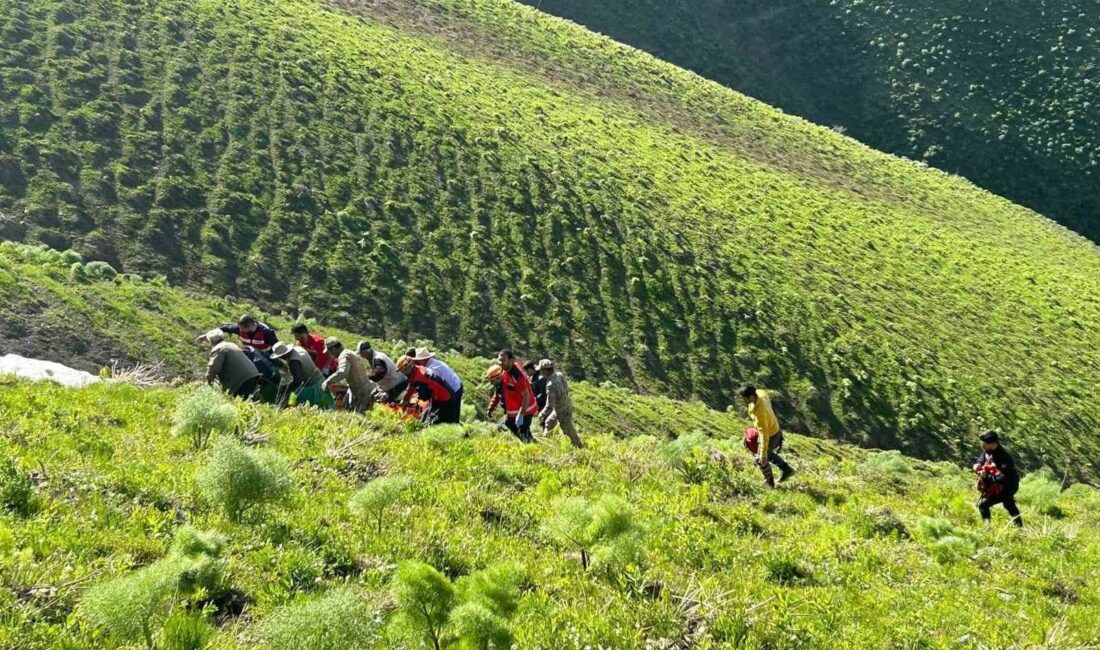 VAN'IN GEVAŞ İLÇESİNDE KAYALIK