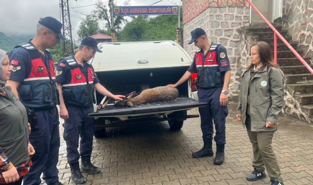 GİRESUN’DA JANDARMA EKİPLERİ, VATANDAŞLAR