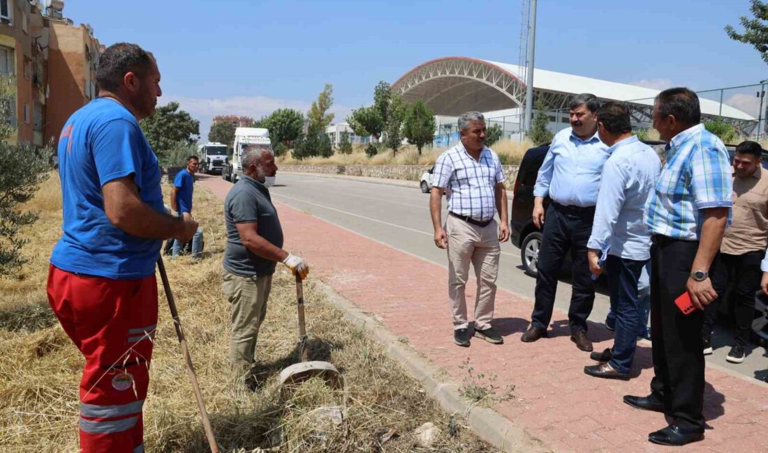 MERSİN'İN MERKEZ İLÇE TOROSLAR