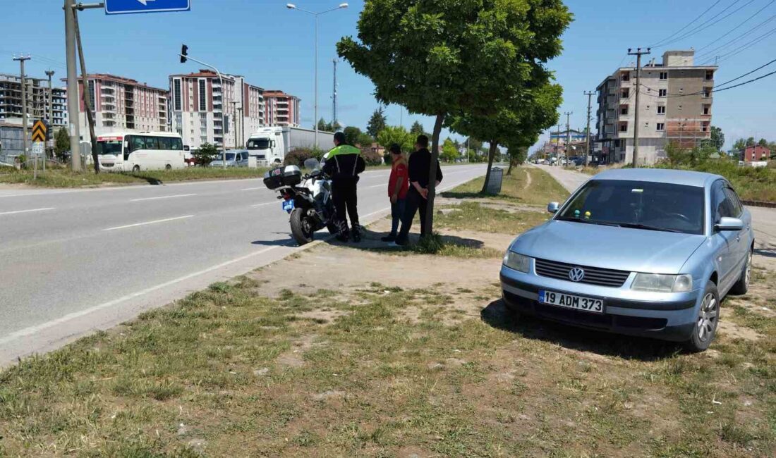 SAMSUN-ORDU KARAYOLUNDA BALIK TAŞIYAN