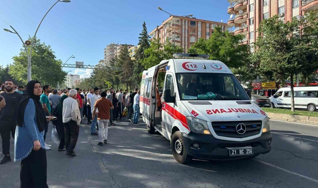 DİYARBAKIR’IN MERKEZ KAYAPINAR İLÇESİNDE