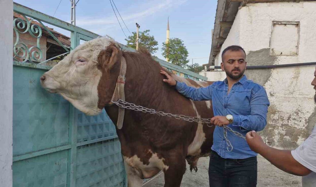 ÇORUM’UN ALACA İLÇESİNDE SAHİBİ