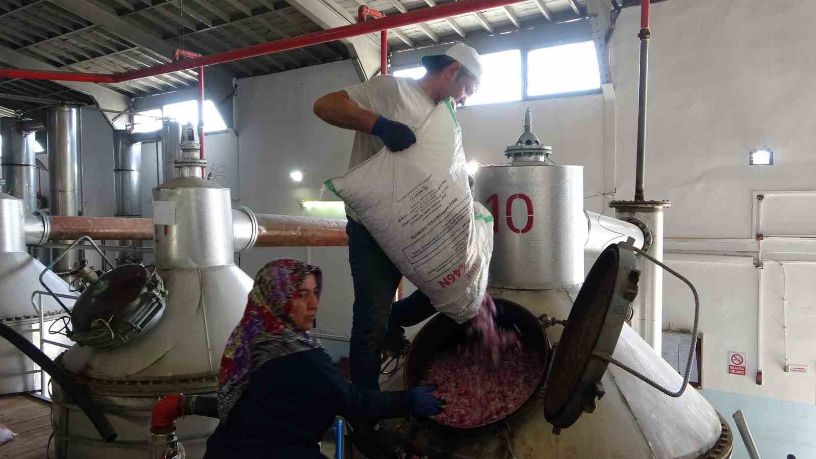 4 tondan sadece 1 litre çıkıyor, litresi 400 bin TL’yi buluyor