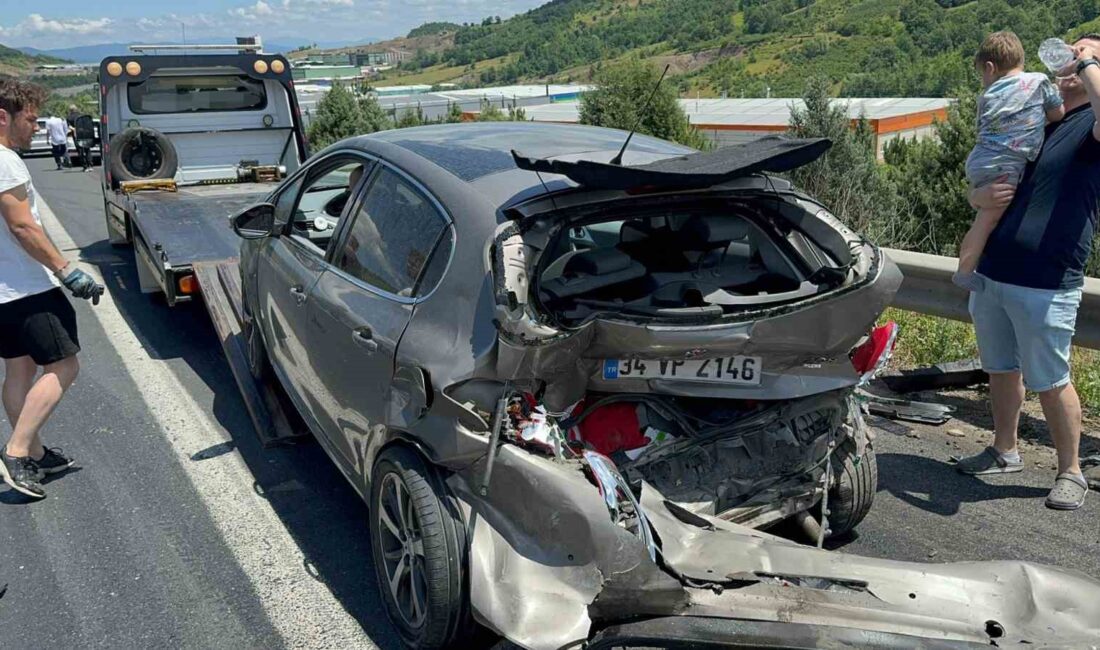 ANADOLU OTOYOLU DÜZCE GEÇİŞİNDE