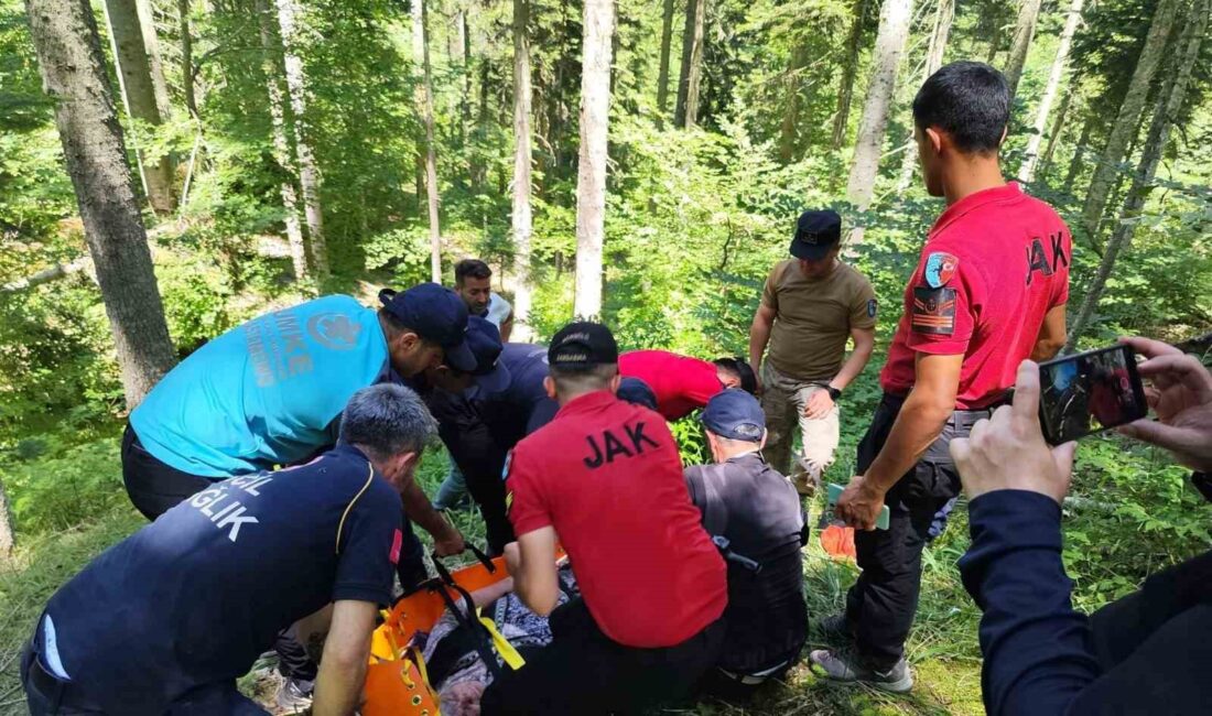 KASTAMONU’DA 9 GÜNDÜR KAYIP