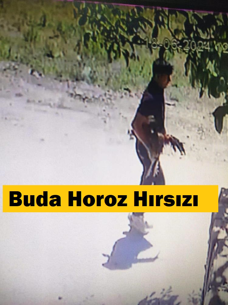 Horoz hırsızı kameraya yakalandı