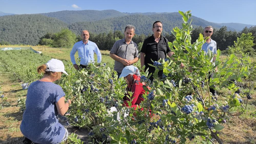 İnegöl ilçesinde bin 200