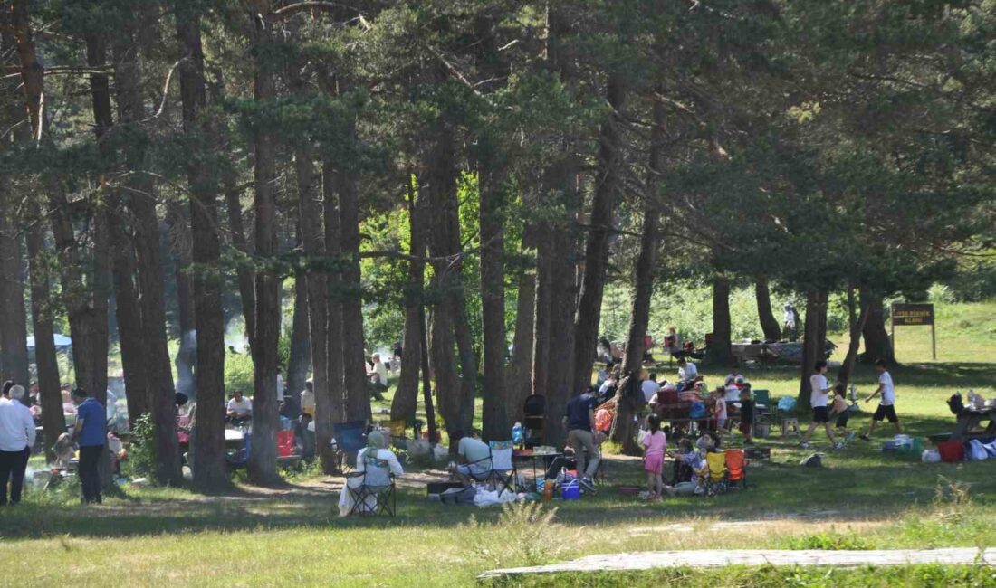 BOLU’NUN DOĞA HARİKASI ABANT