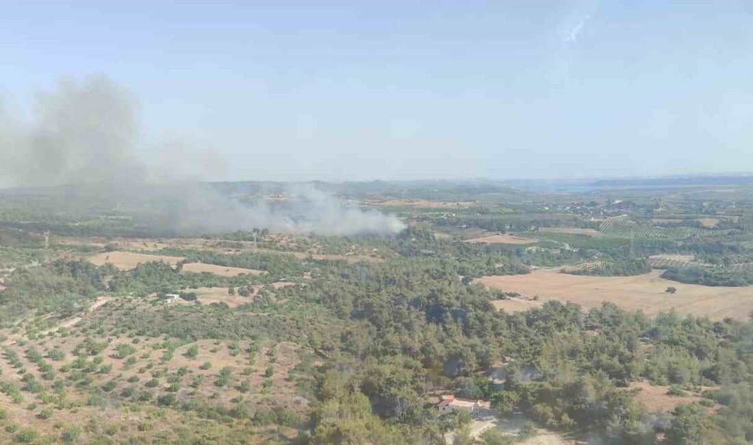 ADANA'DA ÇIKAN ORMAN YANGINI