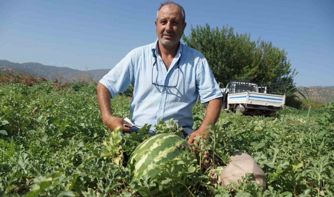 ÇUKUROVA'DAN SONRA EN BÜYÜK