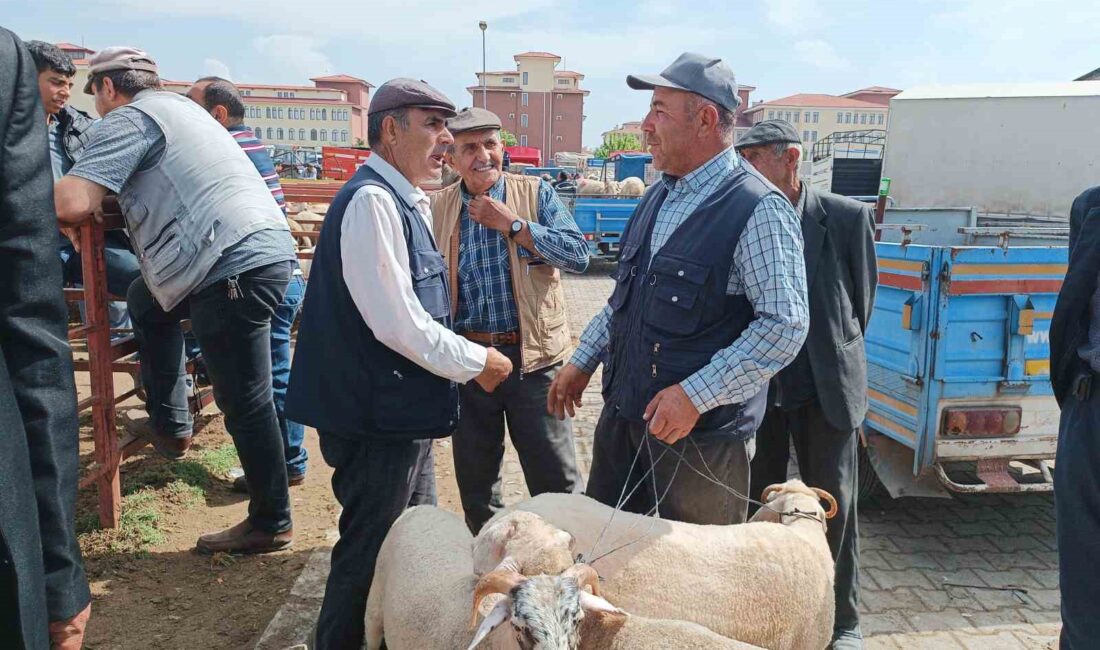 AFYONKARAHİSAR’IN EN BÜYÜK HAYVAN